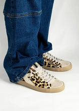 Load image into Gallery viewer, ROBBIE