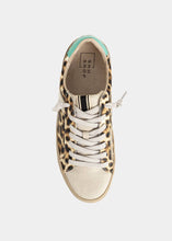 Load image into Gallery viewer, ROBBIE