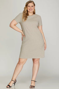 PLUS Charleen - Cream/Black shirt sleeve texture knit dress