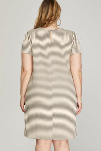 PLUS Charleen - Cream/Black shirt sleeve texture knit dress